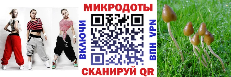 Галлюциногенные грибы ЛСД  Макарьев 