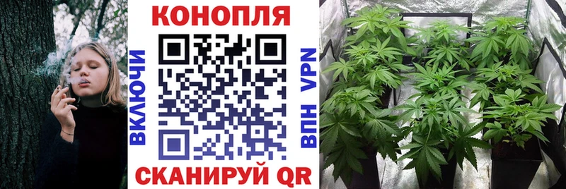 Канабис White Widow  цены   Макарьев 
